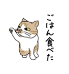 Lineスタンプ どろぼうひげ猫 16種類 1円