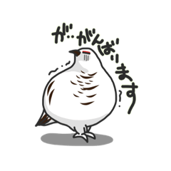 Lineスタンプ 鳥 の完全一覧 全1000種類